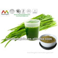 ISO&GMP Young Barley Grass Extract Powder